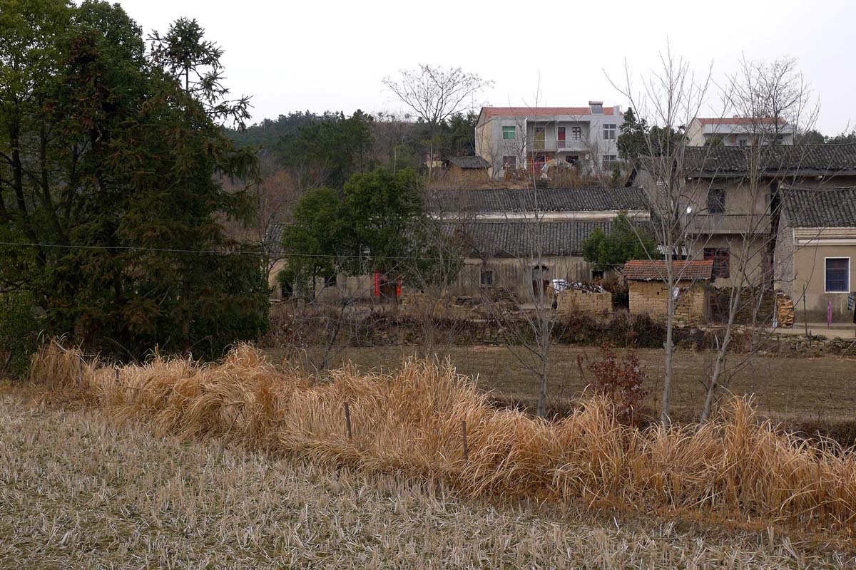p101070647.jpg