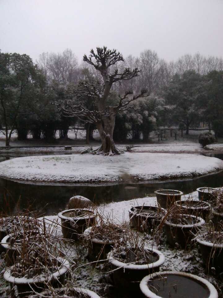 qqͼƬ20140209085638.jpg