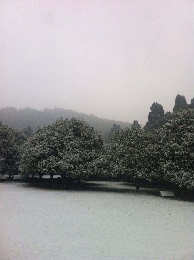qqͼƬ20140209094957.jpg