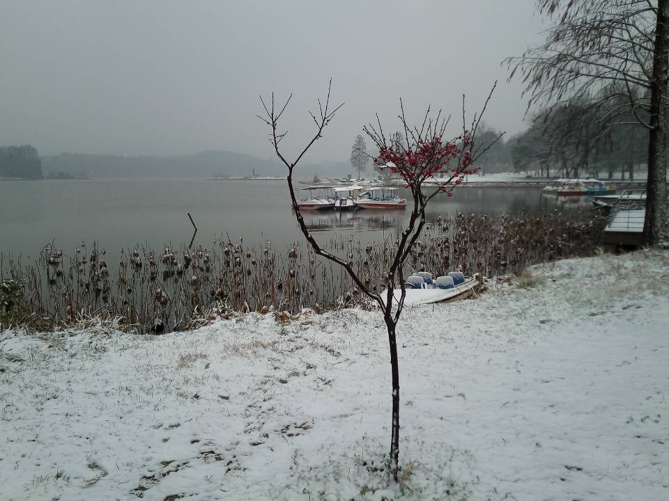 qqͼƬ20140209100632.jpg