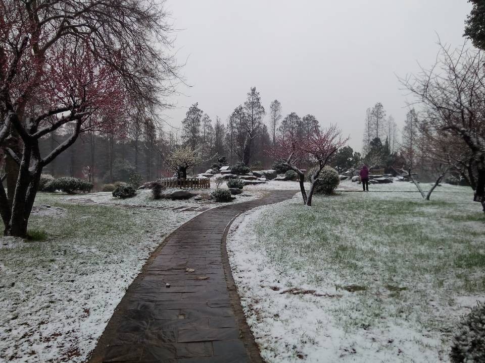 qqͼƬ20140209100657.jpg