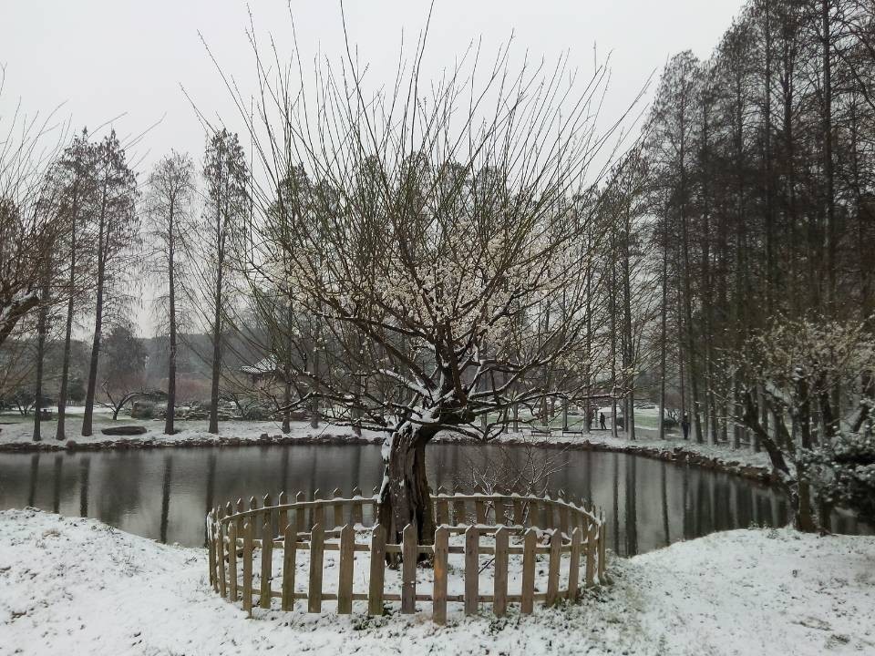 qqͼƬ20140209100703.jpg
