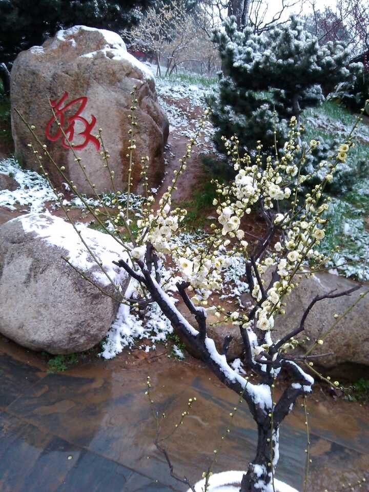 qqͼƬ20140209103924.jpg