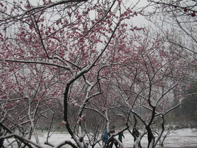 2014xue 021.jpg