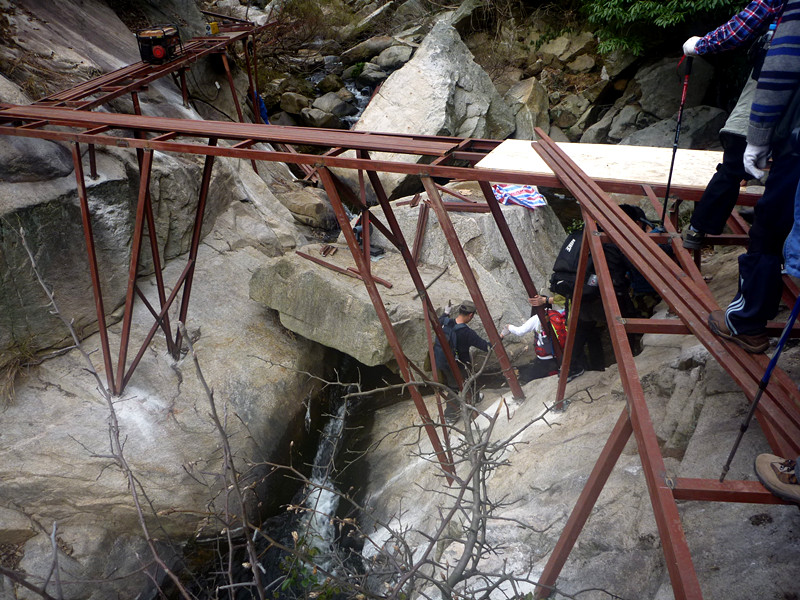 p1190098_.jpg