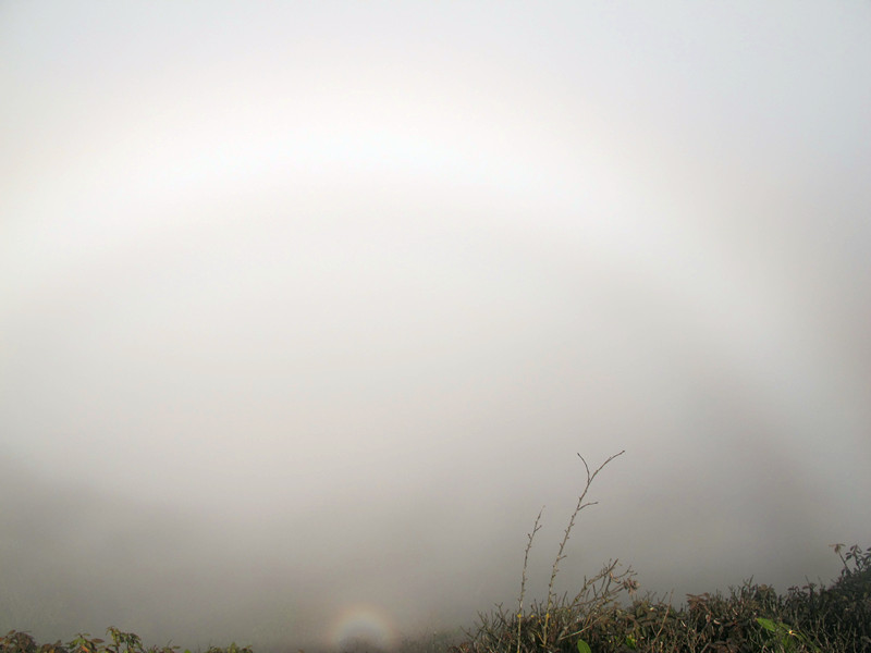20131109ţɽʺ.jpg