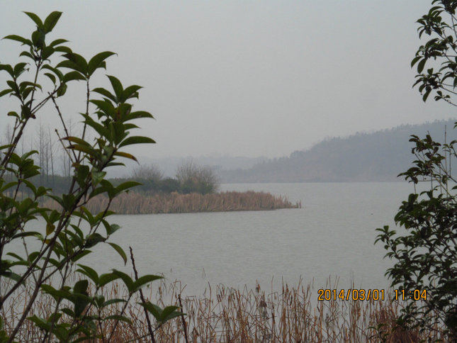 img_4287.jpg