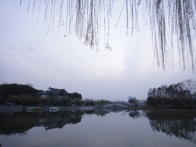 dsc02859.jpg