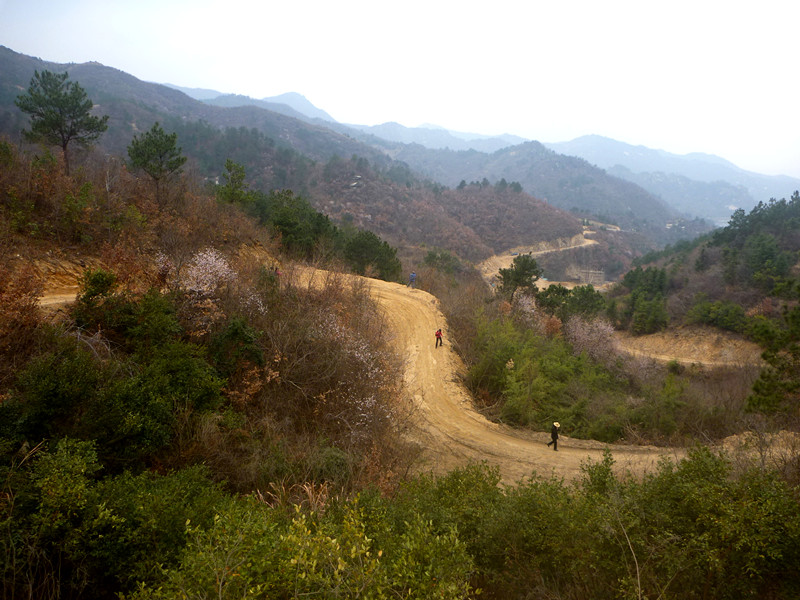 p1190118_.jpg