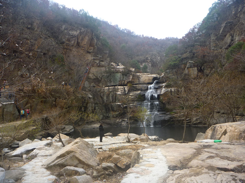 p1190119_.jpg