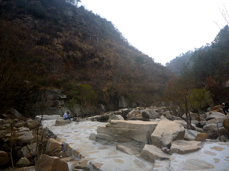 p1190120_.jpg
