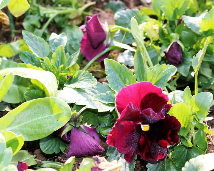 2014ӣ 026.jpg
