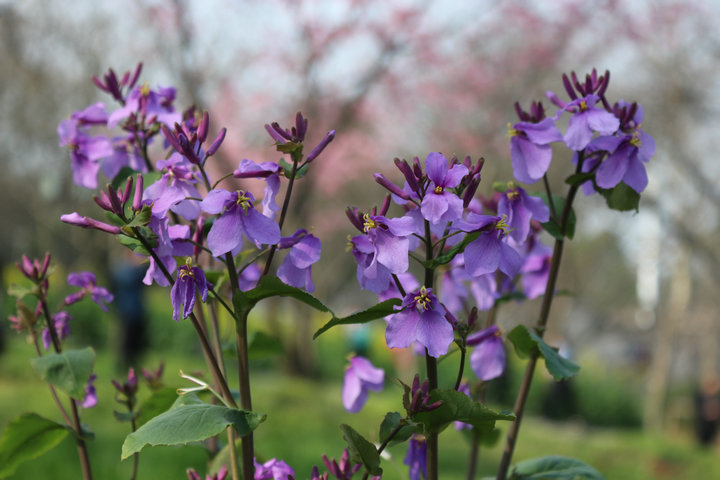 2014ӣ 034.jpg