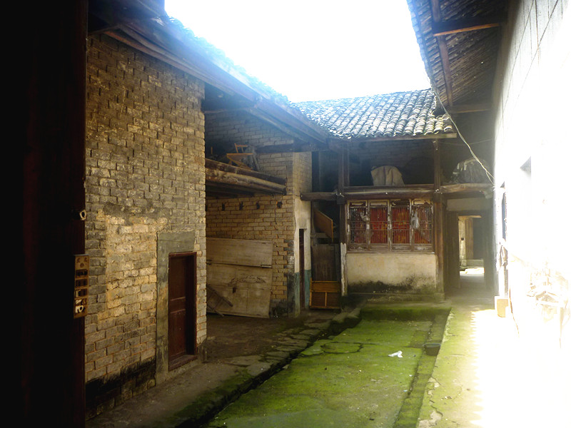 p1190135_.jpg