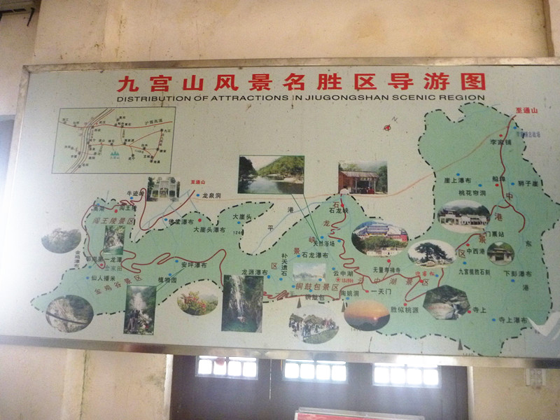 p1190138_.jpg