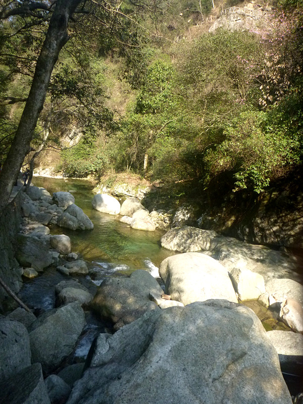 p1190168_.jpg