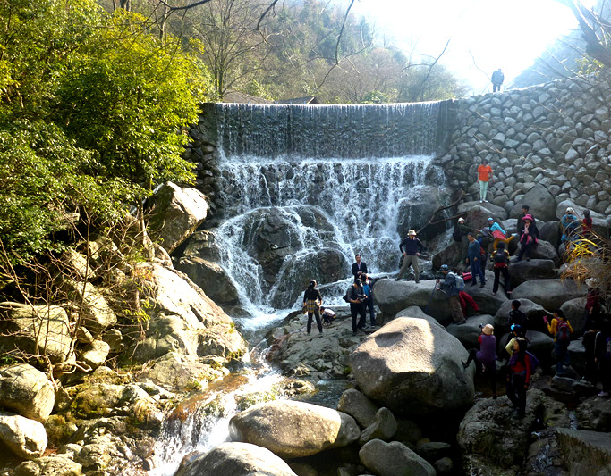 p1190172_.jpg
