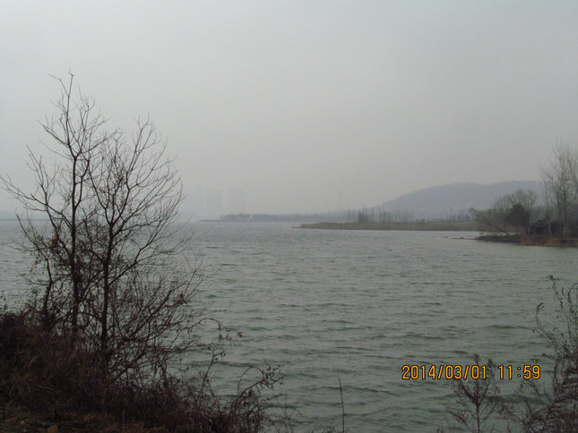 img_4313.jpg