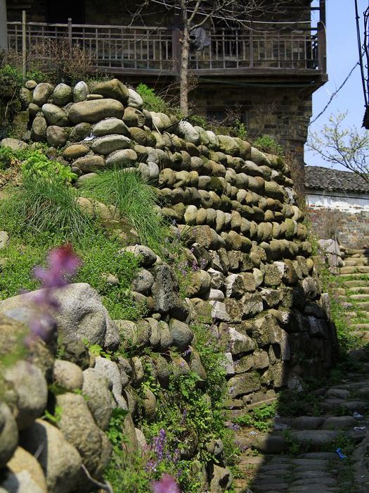 _mg_1265.jpg