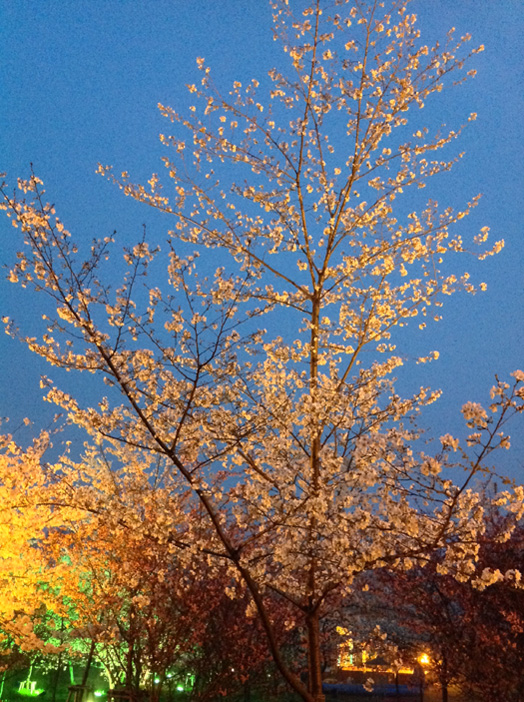  Ƭ 068.jpg