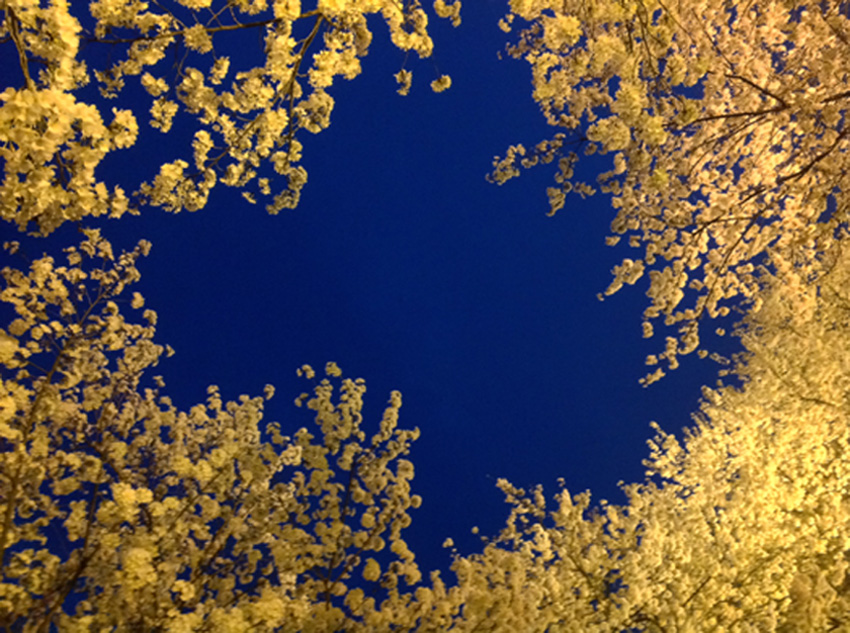 Ƭ 083.jpg