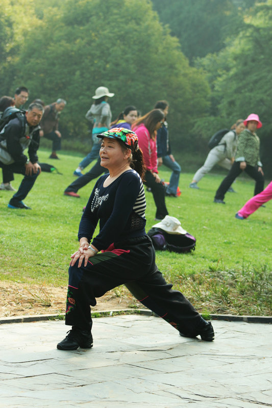 2014zhiwuyuanshanghua 005.jpg