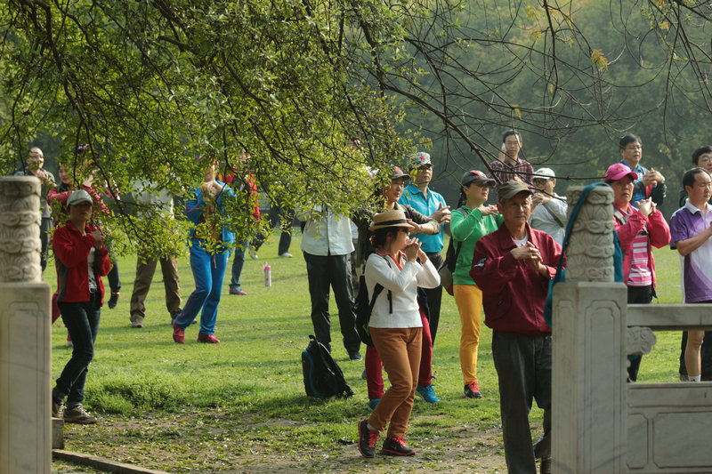 2014zhiwuyuanshanghua 006.jpg