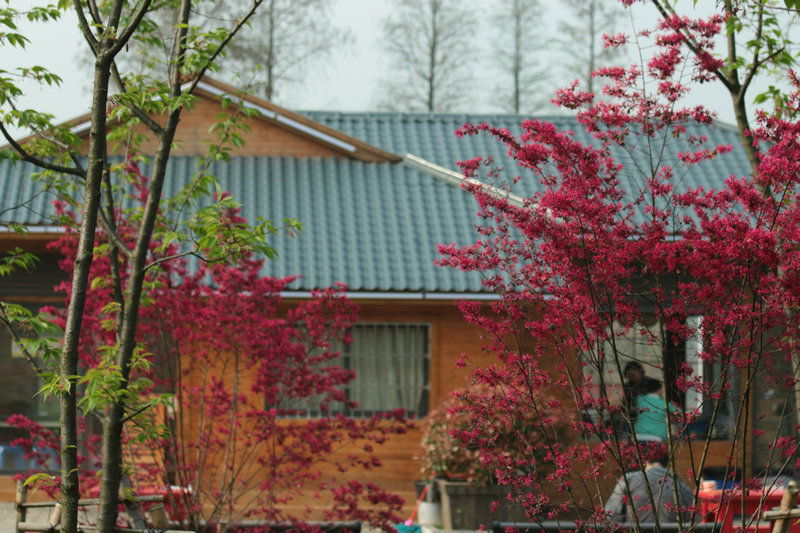 2014zhiwuyuanshanghua 018.jpg