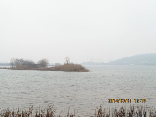 img_4333.jpg