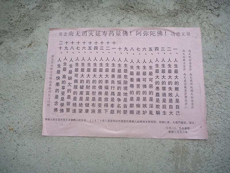 p1170990_.jpg