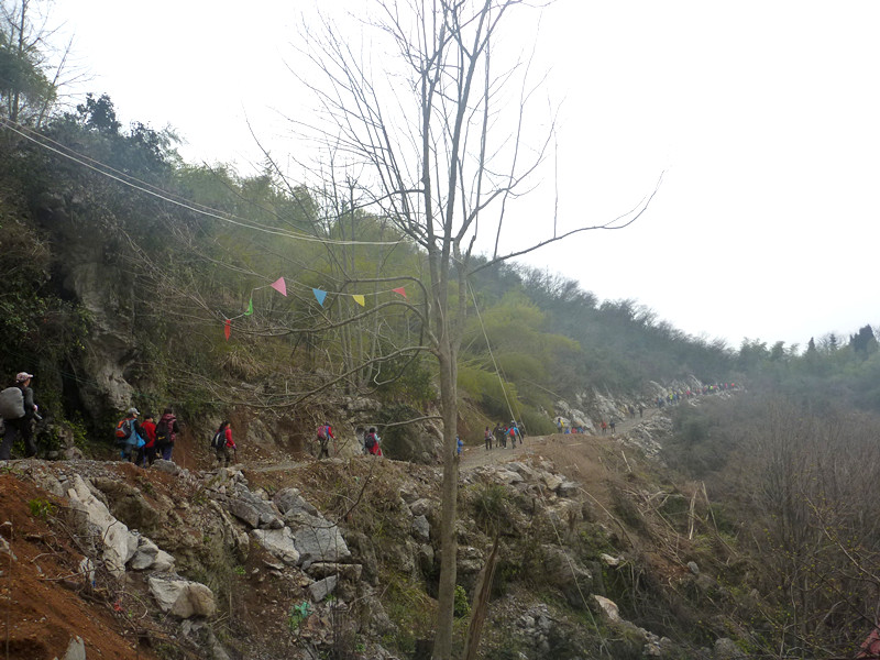 p1170993_.jpg