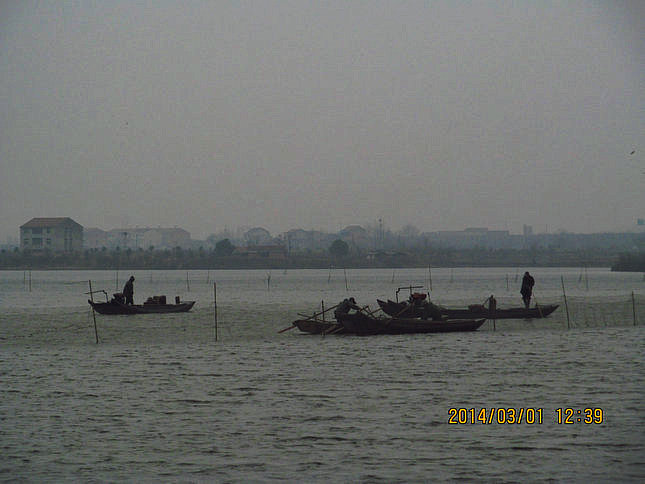 img_4352.jpg
