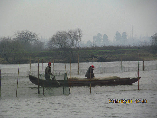 img_4355.jpg