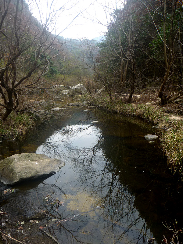 p1190081_.jpg