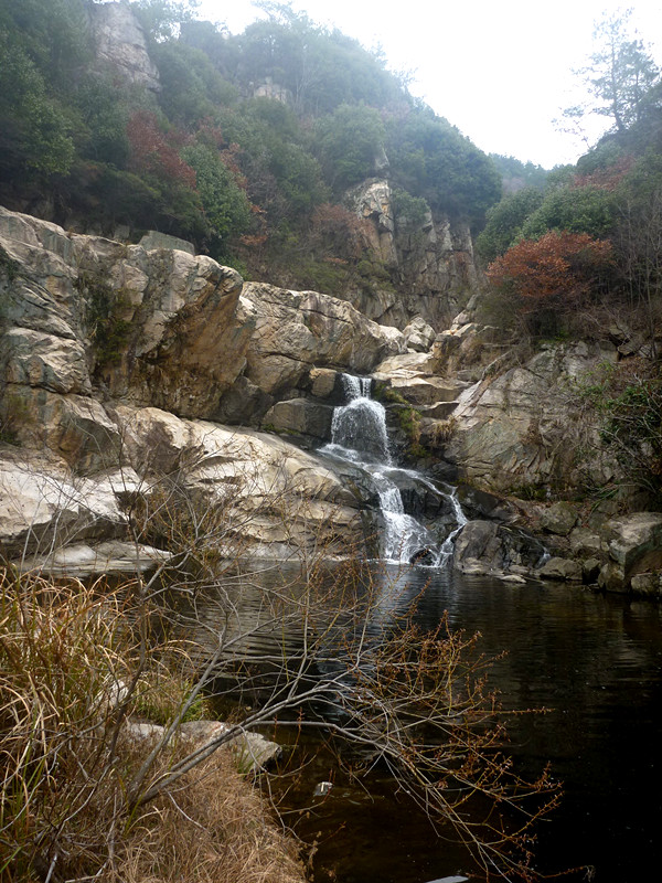 p1190084_.jpg