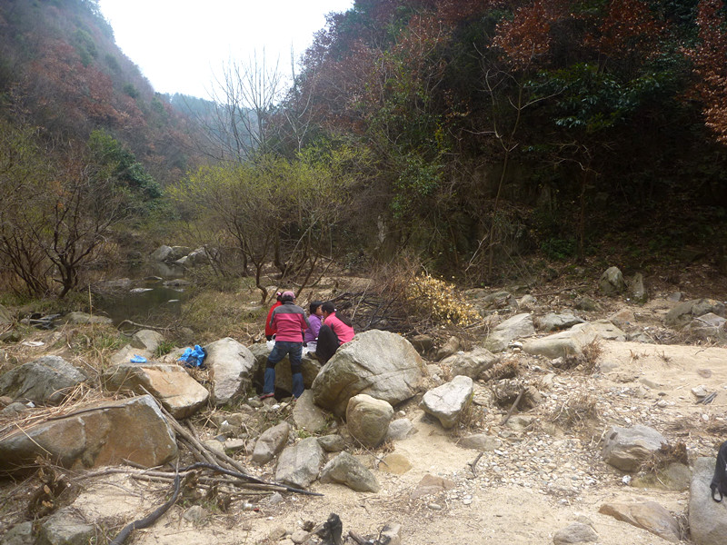 p1190079_.jpg
