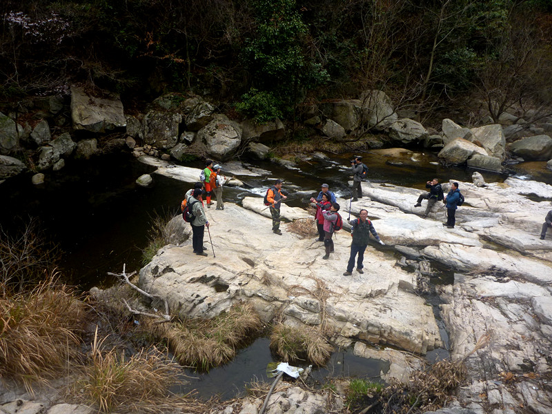 p1190087_.jpg