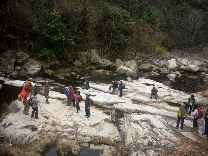 p1190086_.jpg
