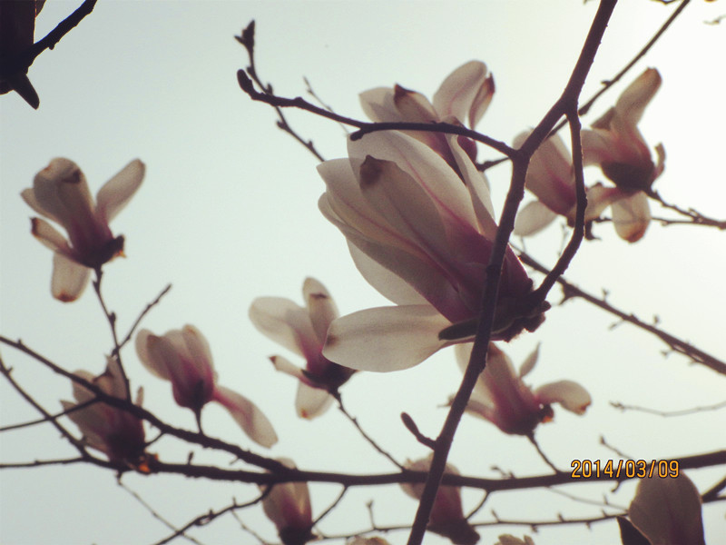 Ƭ20140309 066_.jpg