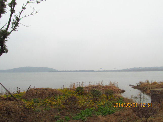 img_4374.jpg
