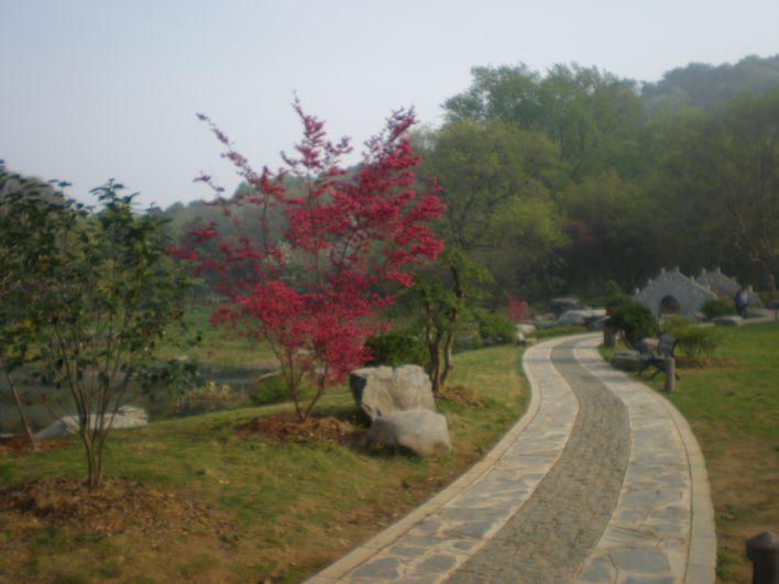 p1010001.jpg