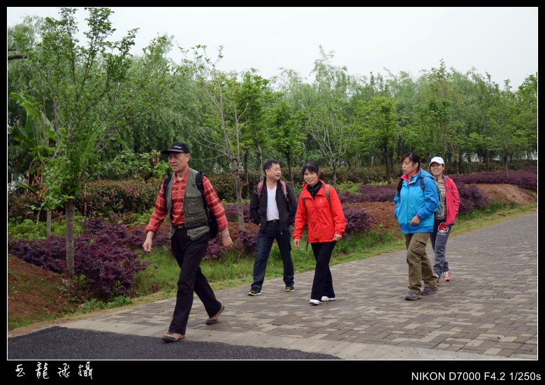 dsc_5342_conew1.jpg