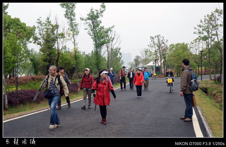 dsc_5345_conew1.jpg