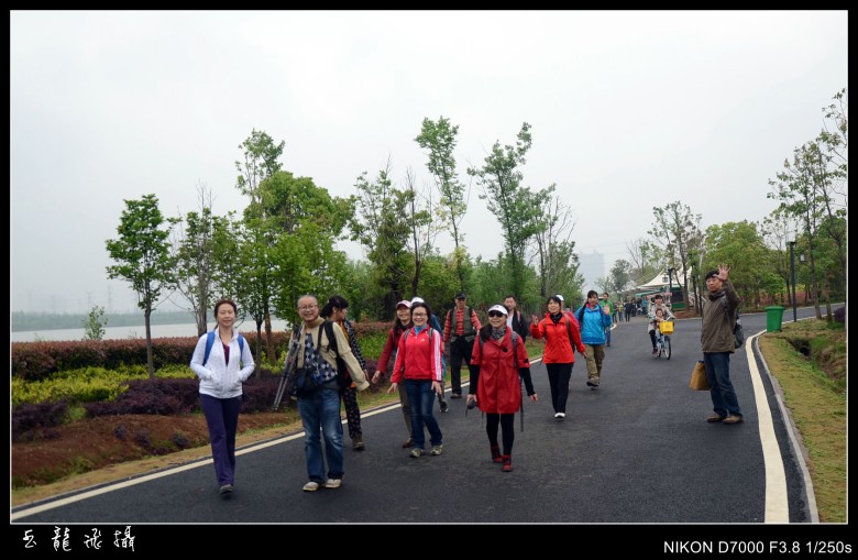 dsc_5348_conew1.jpg