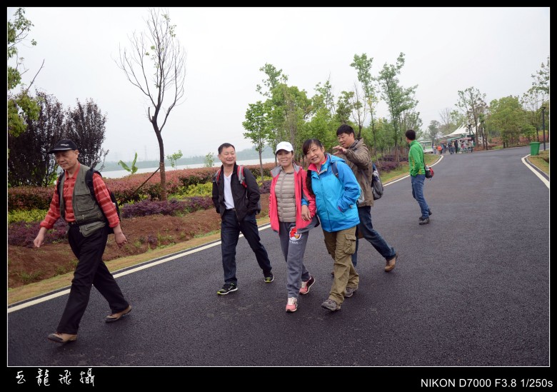 dsc_5350_conew1.jpg
