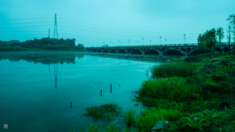 l1004151.jpg
