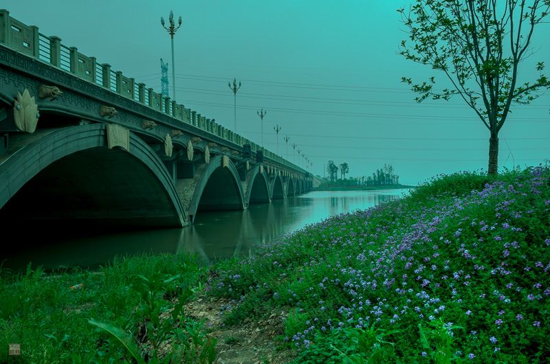 l1004155.jpg