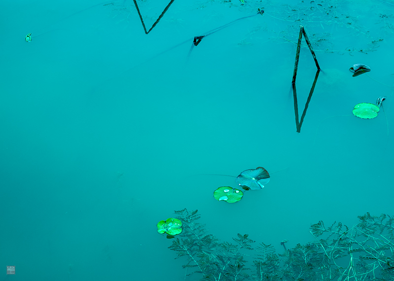 l1004173.jpg