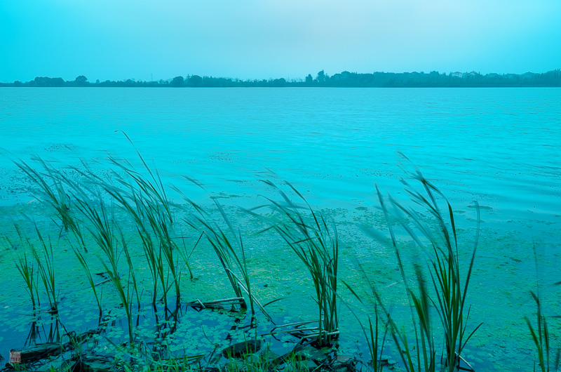 l1004168.jpg