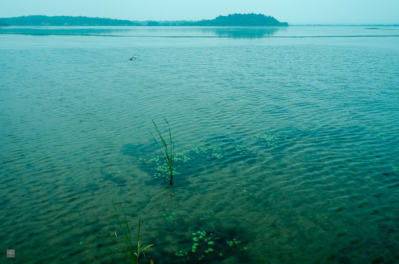 l1004190.jpg